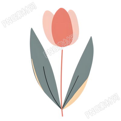 单支郁金香可爱插画
