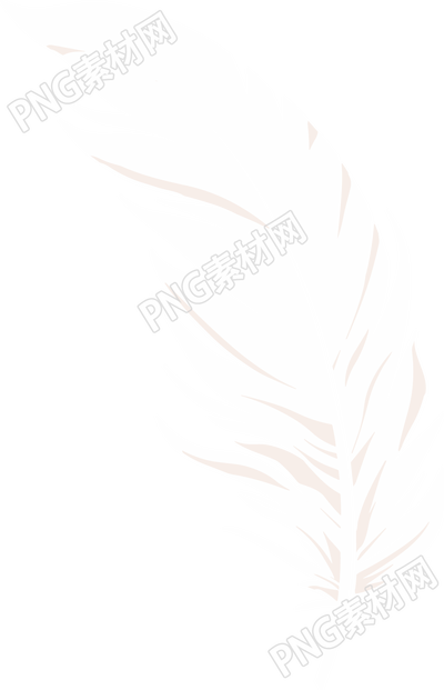 羽毛插图设计素材