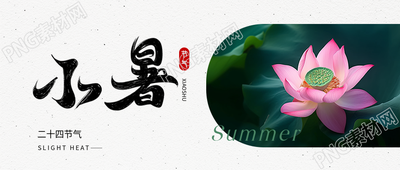 小暑时节荷花实景微信公众号首图