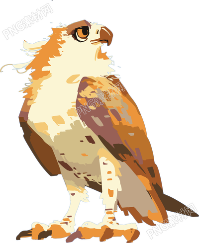 老鷹抽象插畫