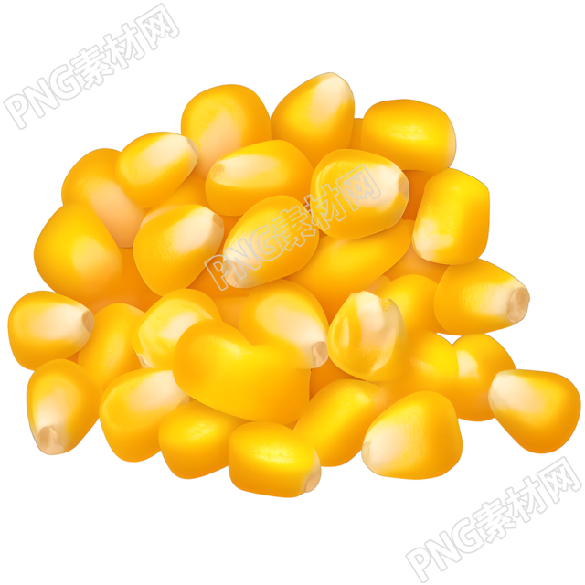 玉米粒矢量插图