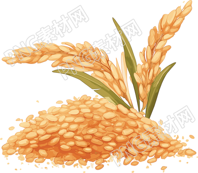 水稻插画素材