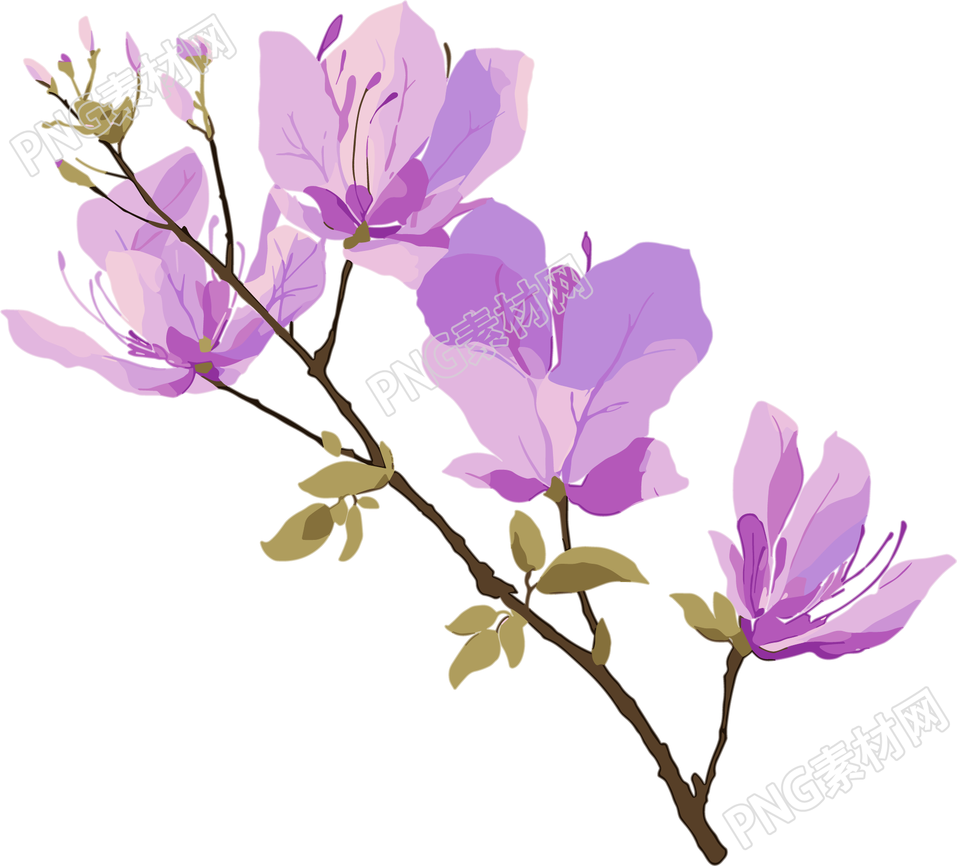 紫荆花创意设计插图