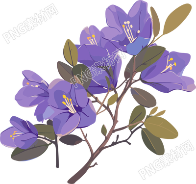紫荆花高清水彩插图