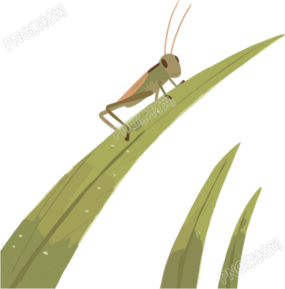蟋蟀PNG插画素材