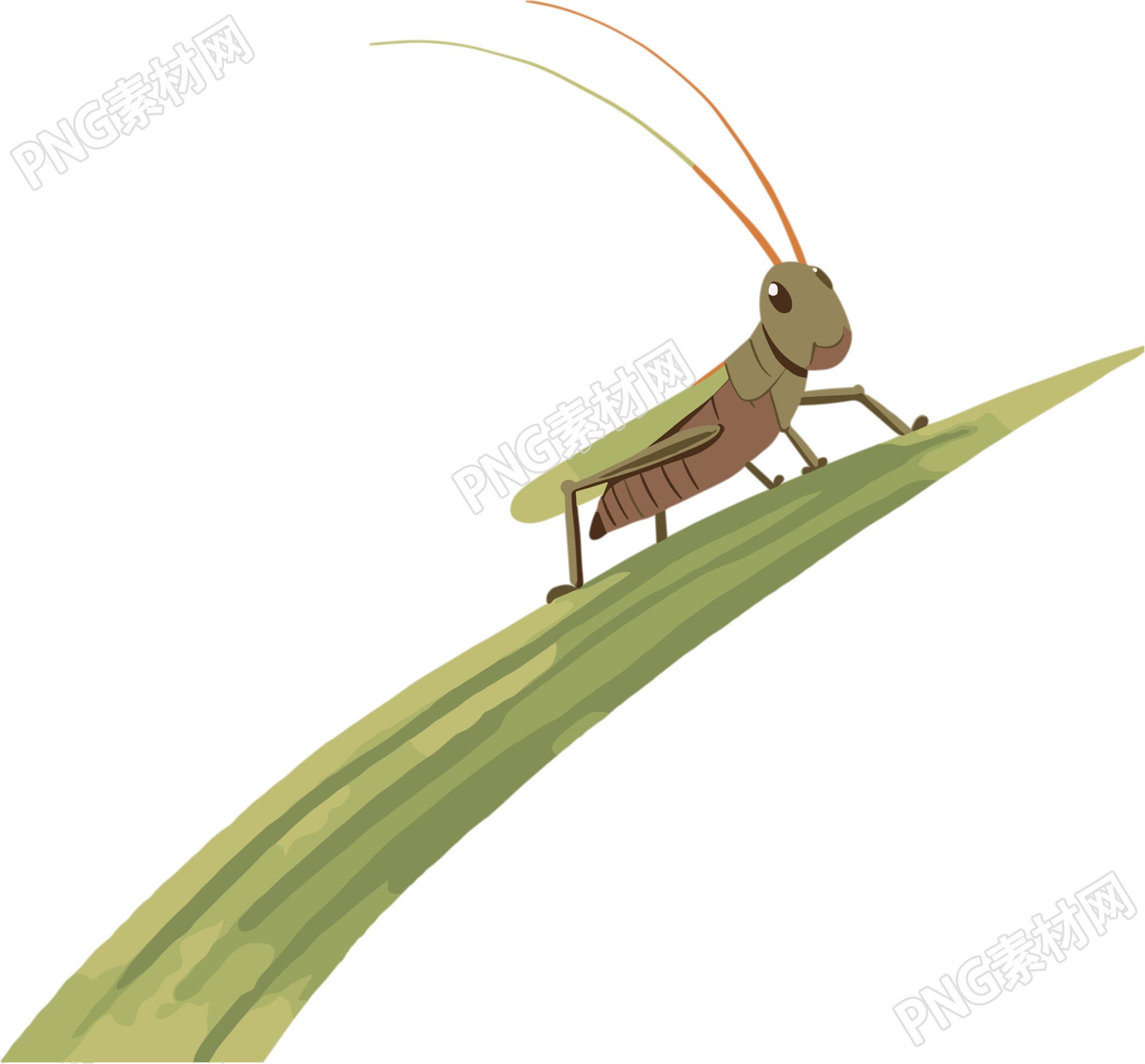 蟋蟀卡通插画