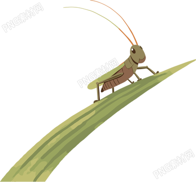 蟋蟀卡通插画