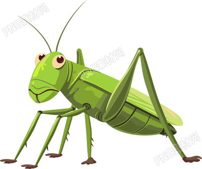 蟋蟀高清插画