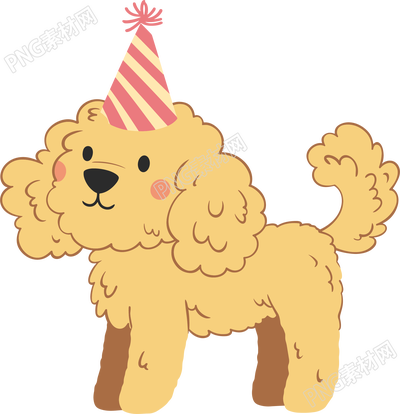 小狗小泰迪生日帽素材