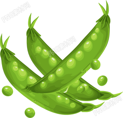 扁豆創(chuàng)意設(shè)計素材