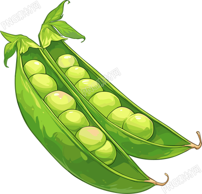 扁豆高清圖形素材