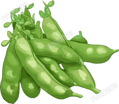 扁豆扁平插圖