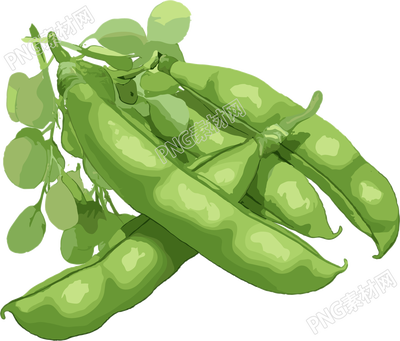 扁豆透明背景元素