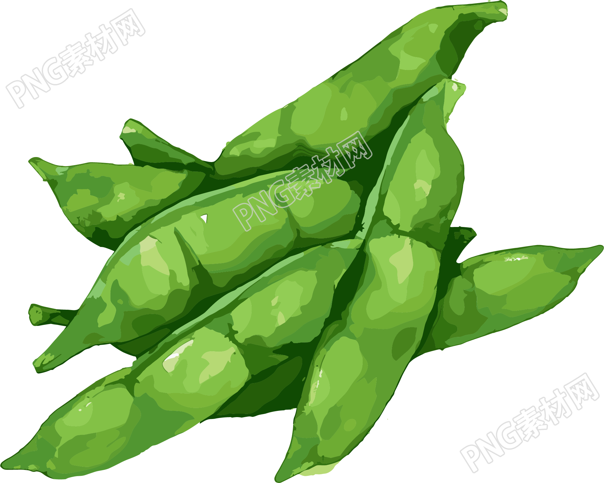 扁豆平面插画