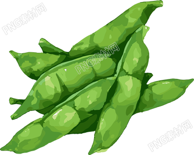 扁豆平面插畫