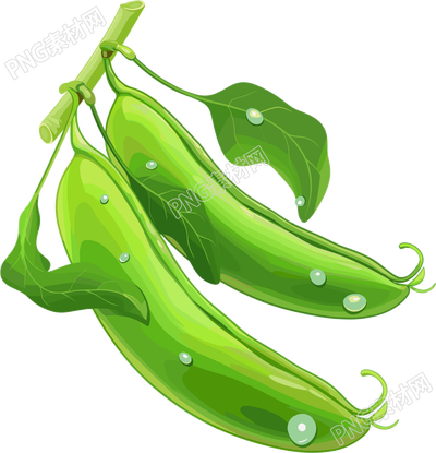 扁豆高清PNG插畫