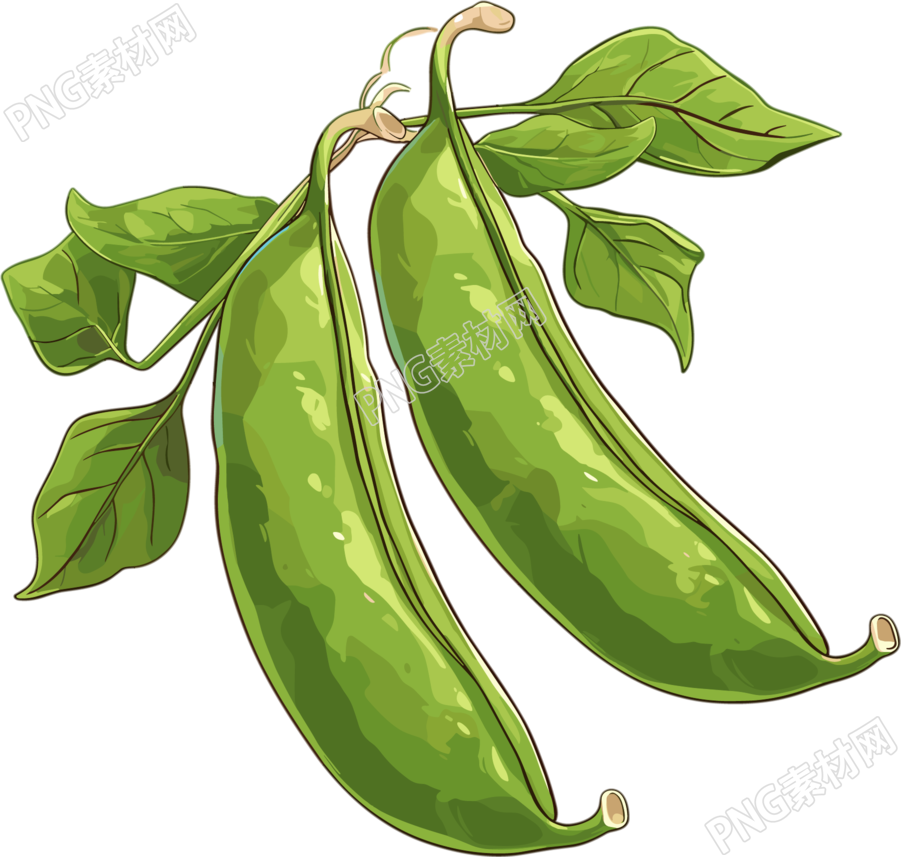 绿色扁豆矢量插图