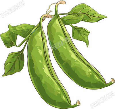 綠色扁豆矢量插圖
