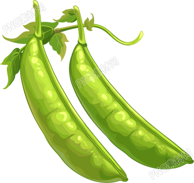 扁豆透明背景插畫