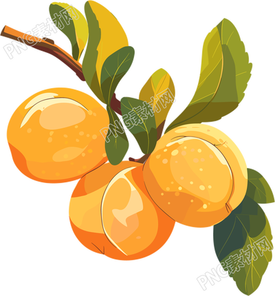 杏子創(chuàng)意插圖