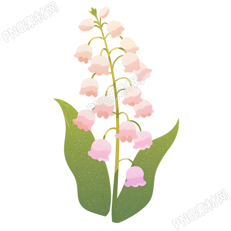 水彩植物铃兰花元素