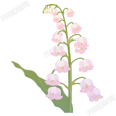 水彩植物铃兰花素材