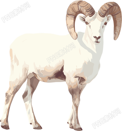 山羊珍稀动物插画设计