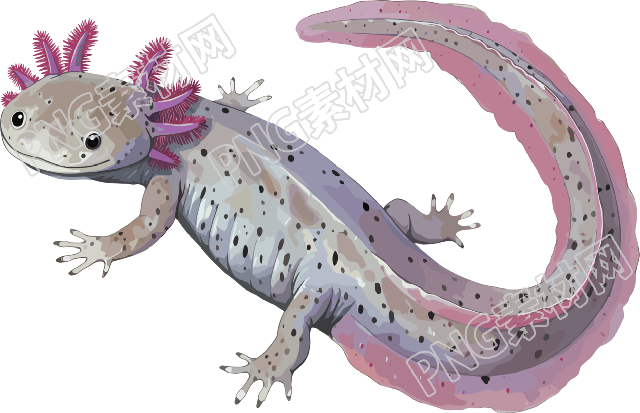 娃娃鱼珍稀动物元素
