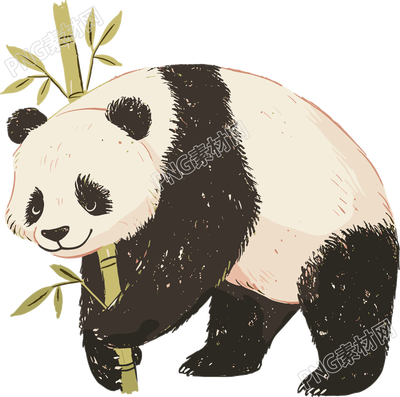 熊猫珍稀动物插画