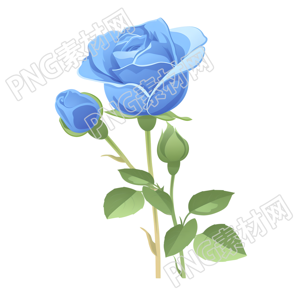 蓝玫瑰插画素材