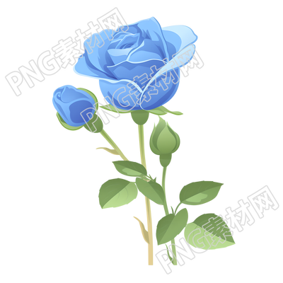 蓝玫瑰插画素材