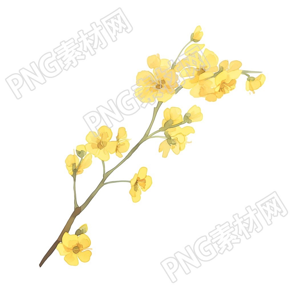 小花可商用插画