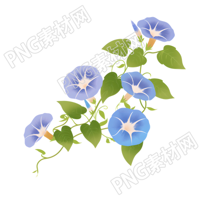 牵牛花简约风格素材