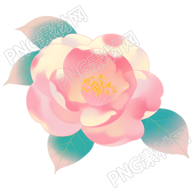牡丹插画设计元素