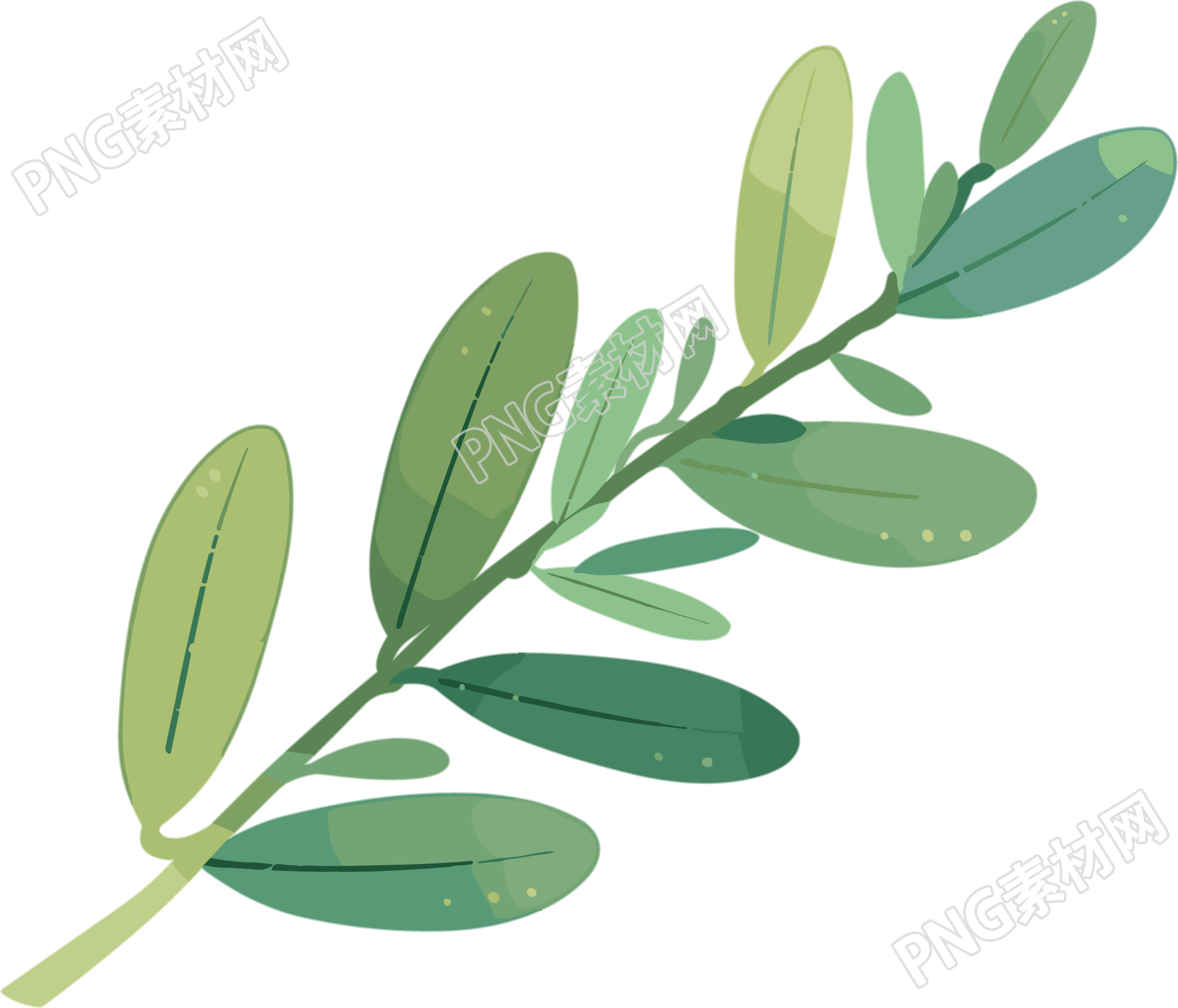 水彩植物PNG图形素材