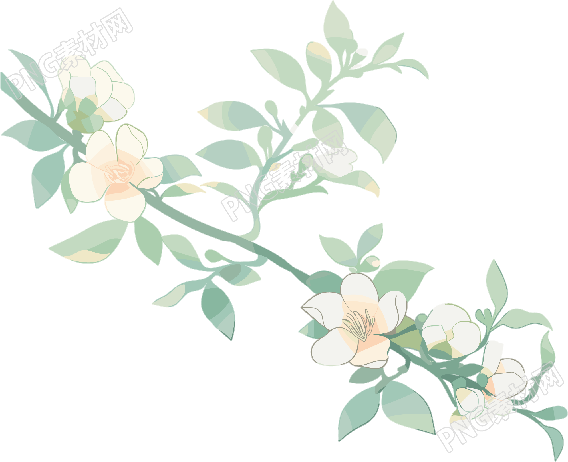 小白花水彩植物素材