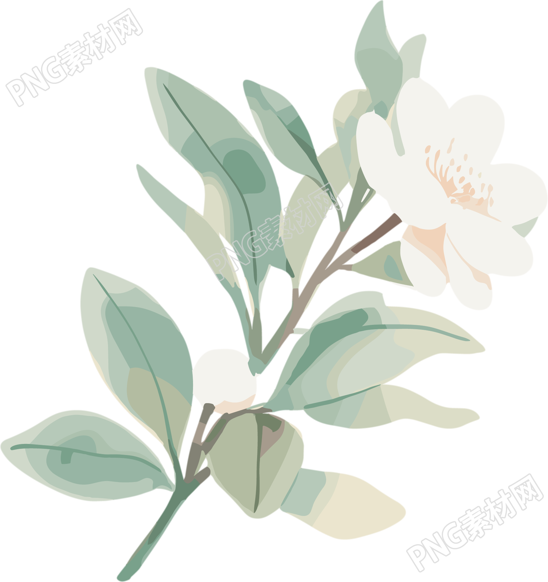 小白花水彩植物元素