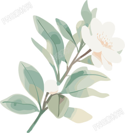 小白花水彩植物元素