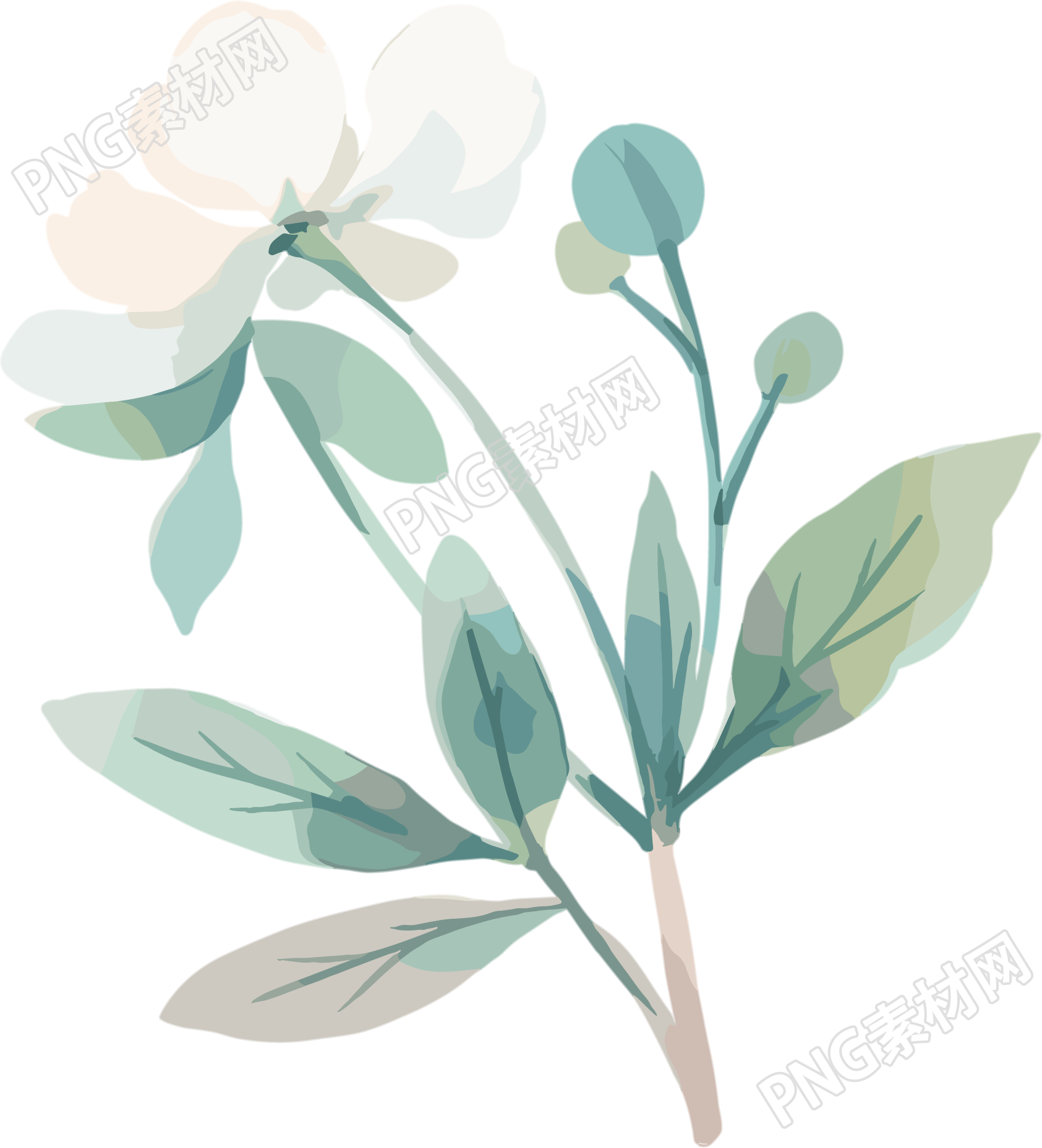 小白花水彩植物插图