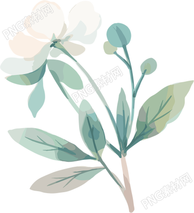 小白花水彩植物插图