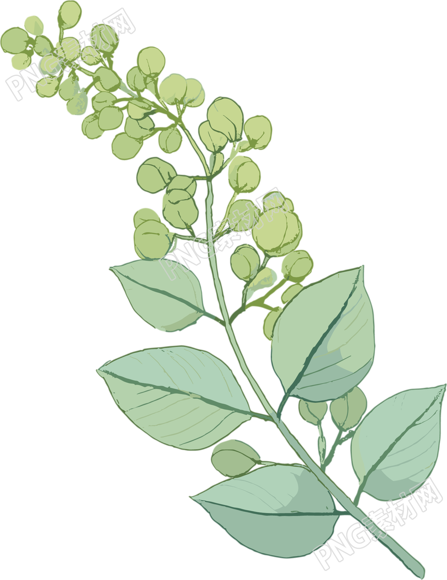 水彩植物卡通素材