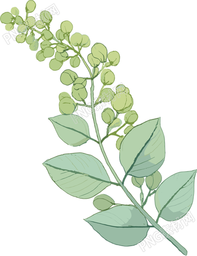水彩植物卡通素材