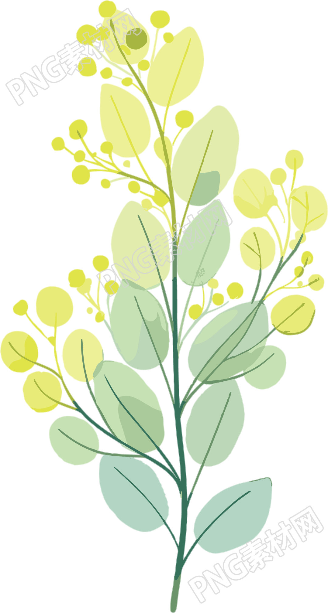 水彩植物商业使用插画