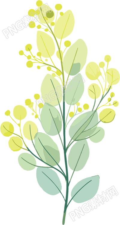 水彩植物商业使用插画