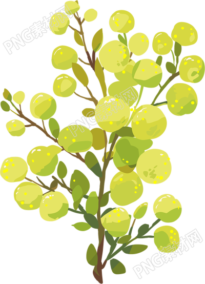 水彩植物简约插图