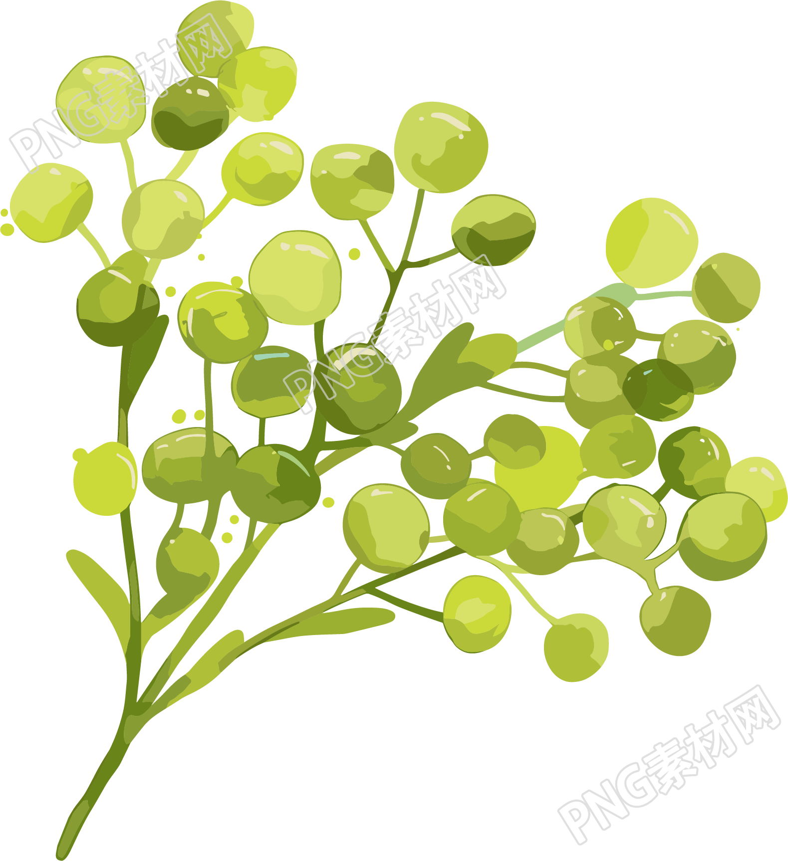 水彩植物草绿色素材