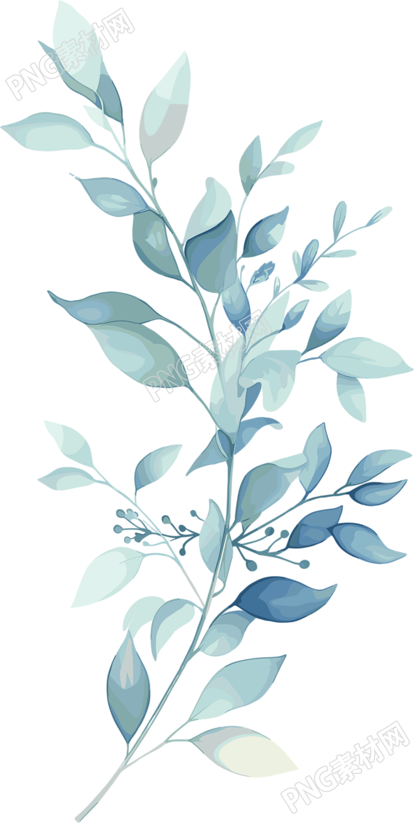 水彩植物高清图形素材