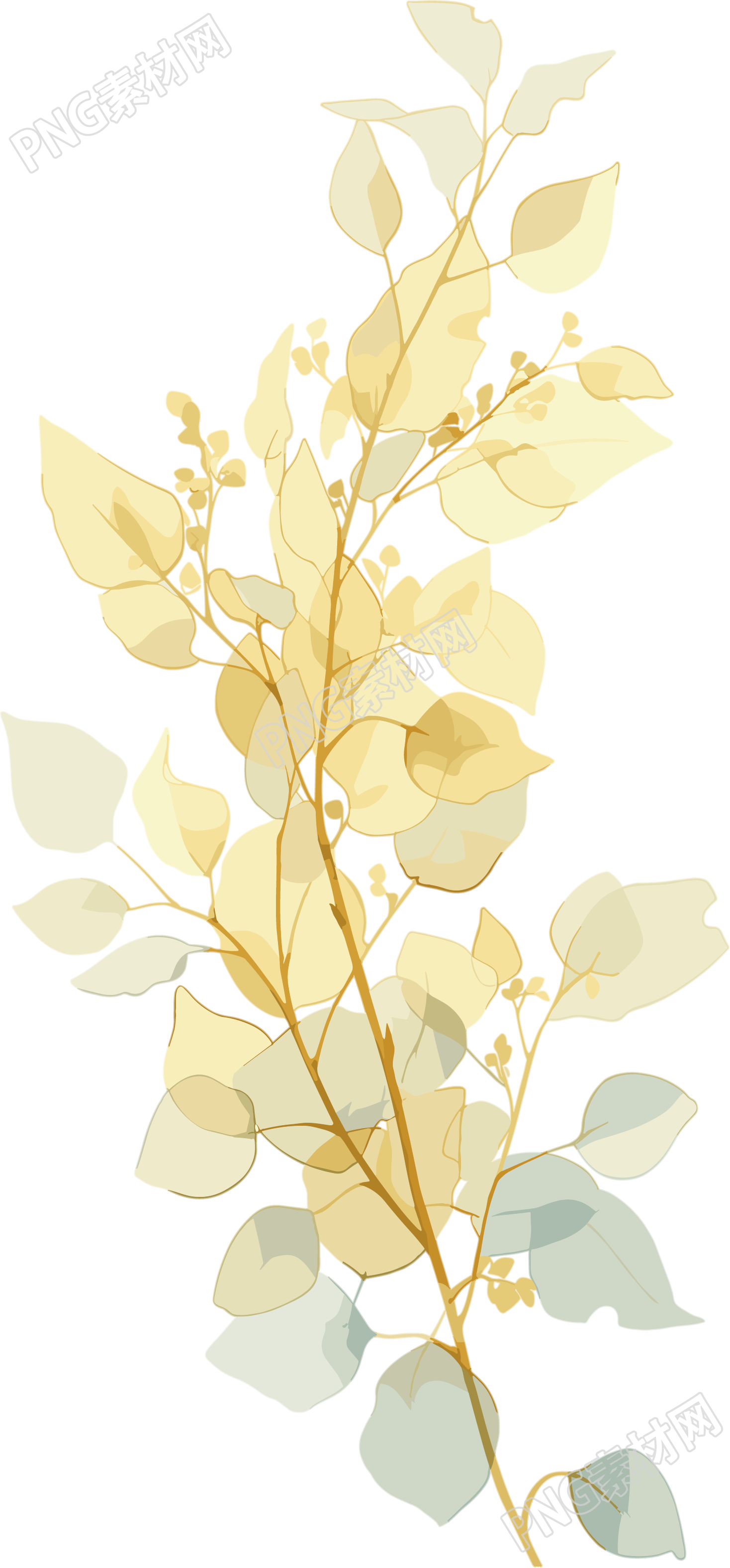 水彩植物PNG素材