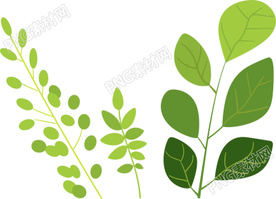 绿叶水彩植物简约风格插画