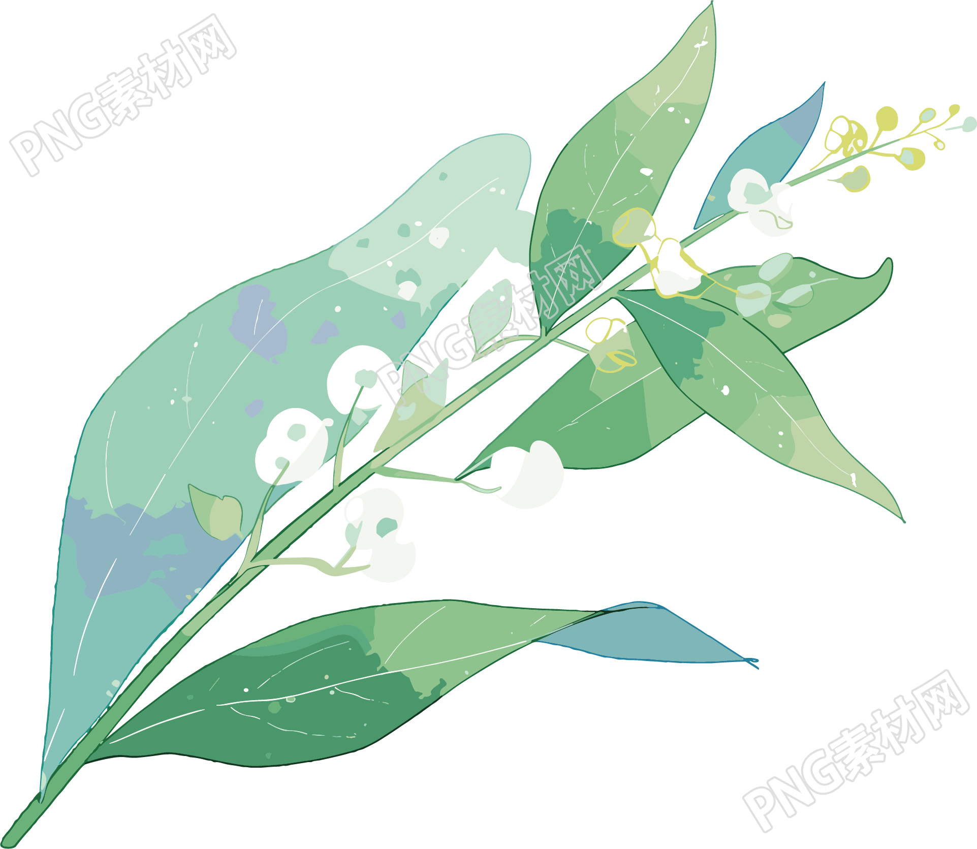 小白花水彩植物元素